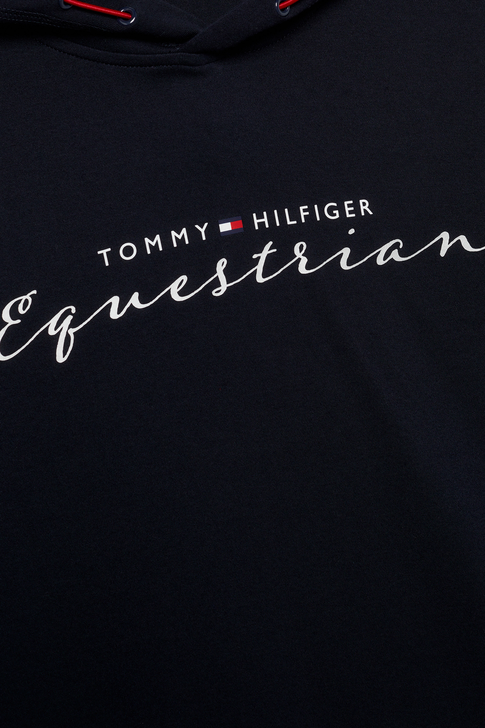 Comprar Tommy Hilfiger Equestrian Metallic Logo Sudadera con capucha  estampada para mujer ahora